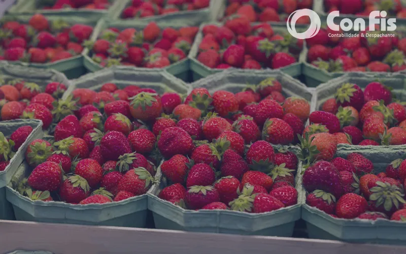 Controle de Estoques na Agricultura: Boas Práticas Contábeis