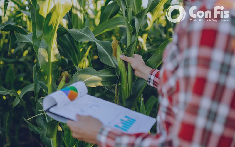 Gestão Financeira na Agricultura: Dicas Contábeis para Produtores