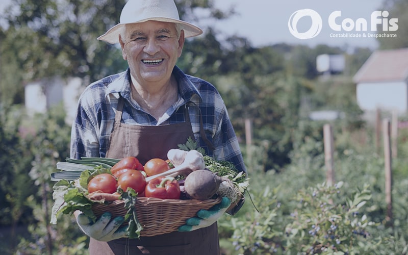 Produtor Rural Pessoa Física: como é feita a tributação?